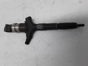 RENAULT Vel Satis (2002–2009) Fuel injector 8972391617 - 3