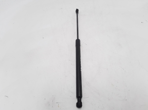   Trunk lid shock absorber 