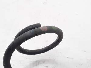 Dacia Lodgy (2012–2026) Rear spring 550204221R - 3
