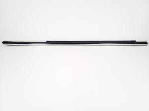 Rear side door outer window molding