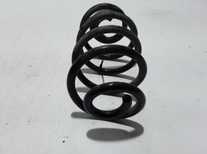 RENAULT Clio III (2005–2012) Rear spring 550204217R - 3