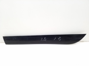  Rear side door strip 