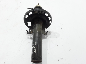 Stoßdämpfer vorne - 543020054R
