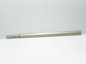   Front door molding  - 8200051944 