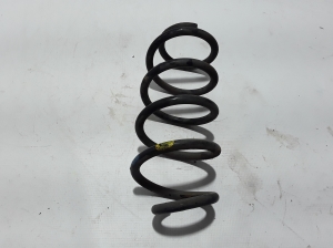   Rear spring 