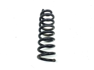   Rear spring 