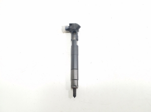   Fuel injector 