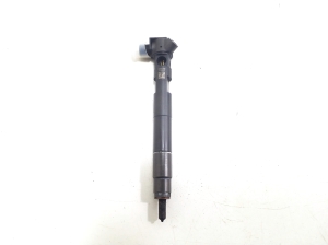   Fuel injector 