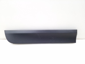 Rear side door molding - 7205782