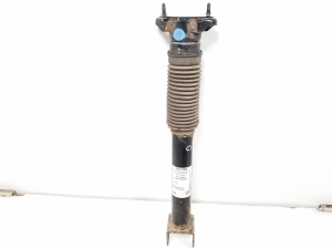   Rear shock absorber 