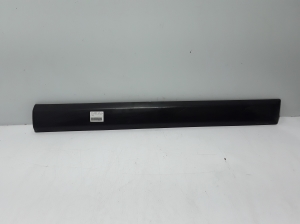 Front door molding - 801869472R