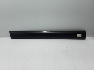 Front door molding - 808770999R