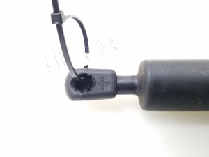 BMW 5 SERIES F11 (2010–2017) Gasdruckfeder Heckscheibe 7210557 - 3