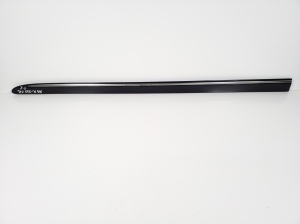Front door molding - A2516902162