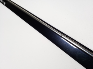 Mercedes Benz R-Class 251 (2006–2017) Front door molding A2516902162 - 2