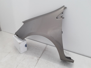 RENAULT Clio III (2005–2012) Front fender 8200256117 - 2