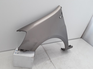 RENAULT Clio III (2005–2012) Front fender 8200256117 - 4