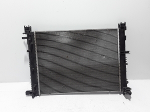 Jahutusradiaator - 214106473R
