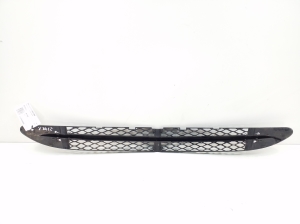  Front bumper lower grille 