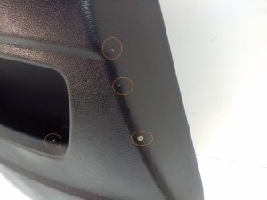 BMW X6 E71 (2008–2014) Rear side door panel - 2