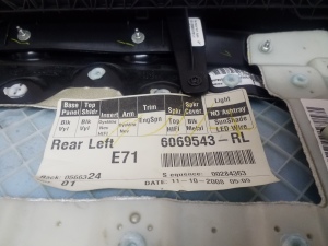 BMW X6 E71 (2008–2014) Rear side door panel - 5