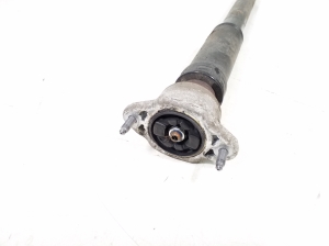 Mercedes Benz E-Class W207 (2009–2017) Stoßdämpfer hinten A2073202530 - 2