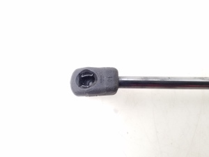 BMW X6 E71 (2008–2014) Kapoti tugi/gaasamortisaator 7148346 - 2