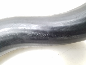 NISSAN Pathfinder R51 (2005–2012) Vahejahuti voolik 14463-EB305 - 2