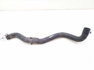   Hose  -  
