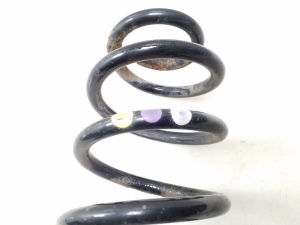Volkswagen Passat B6 (2005–2010) Rear spring - 2