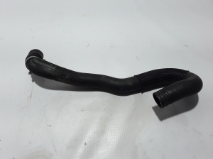   Wasserschlauch Kühler  - 215018803R 