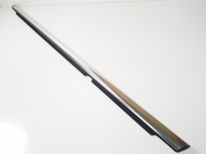   Rear side door strip to glass outer 