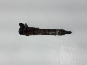   Fuel injector 