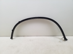 BMW X6 E71 (2008–2014) Abdeckung Kotflügel hinten 7176329 - 2