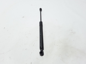   Bonnet support/cylinder 