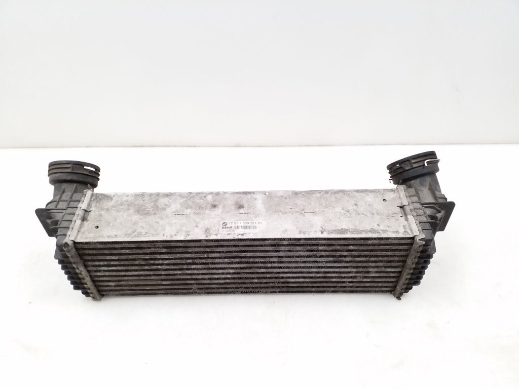 BMW X6 E71 (2007-2012) Intercooler Radiator 7809321 21424116