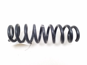 Rear spring