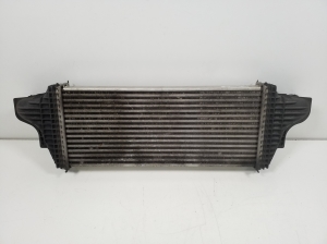 Mercedes Benz ML-Class 164 (2005–2011) Ladeluftkühler A2515000000