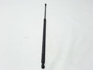   Trunk lid shock absorber 