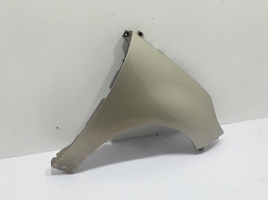 RENAULT Scenic (2009–2015) Front fender 631000010R - 3