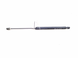   Trunk lid shock absorber 