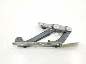   Hood hinge  - A1718800128 