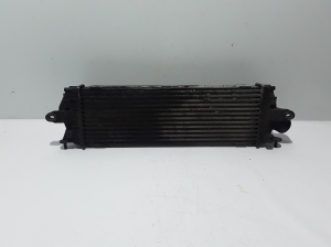 RENAULT Trafic II (2001–2014) Radiateur intercooler 8200411160 - 3