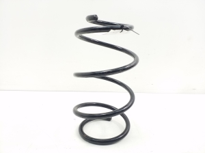 Front spring