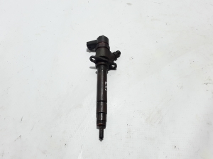   Fuel injector 