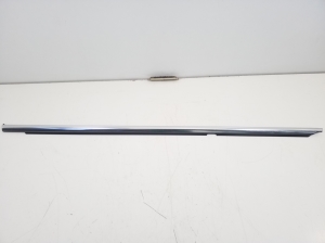  Rear side door strip to glass outer 