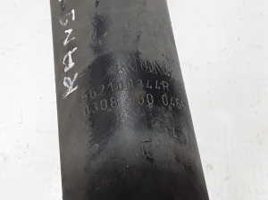RENAULT Kangoo (2008–2020) Stoßdämpfer hinten 562108344R - 3