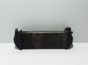 Vahejahuti radiaator - 8200427469