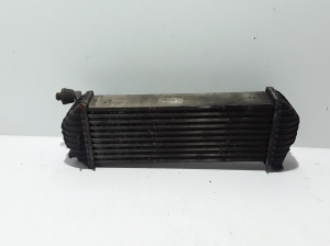RENAULT Kangoo (2008–2020) Vahejahuti radiaator 8200427469 - 3
