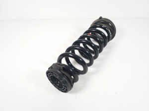 Rear spring - A2053241004